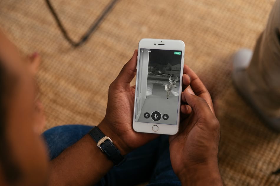 Northampton MA security system